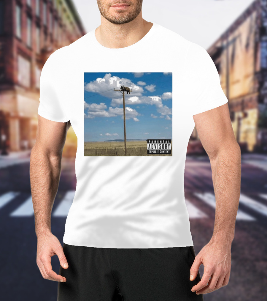 Bear On Top Of The Light Pole Parental Advisory Explicit Content Clouds Sky T-Shirt