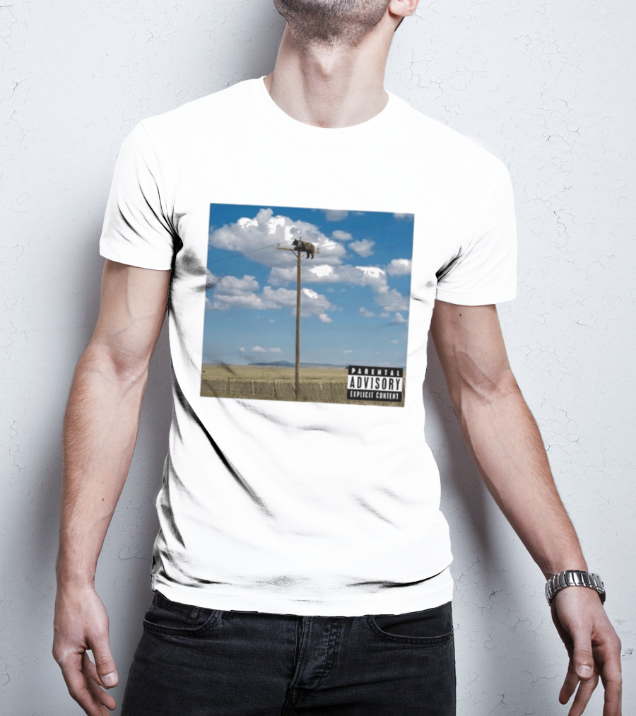 Bear On Top Of The Light Pole Parental Advisory Explicit Content Clouds Sky T-Shirt