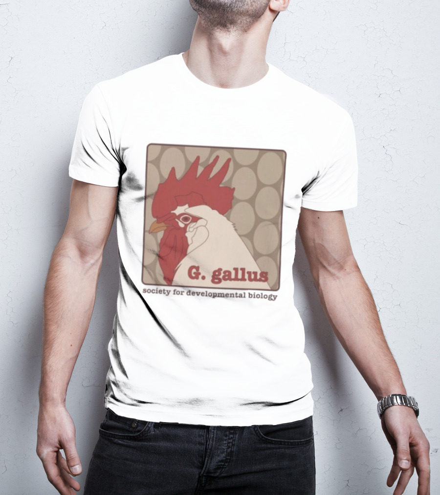 G Gallus Society For Developmental Biology Chicken Rooster Oval T-Shirt
