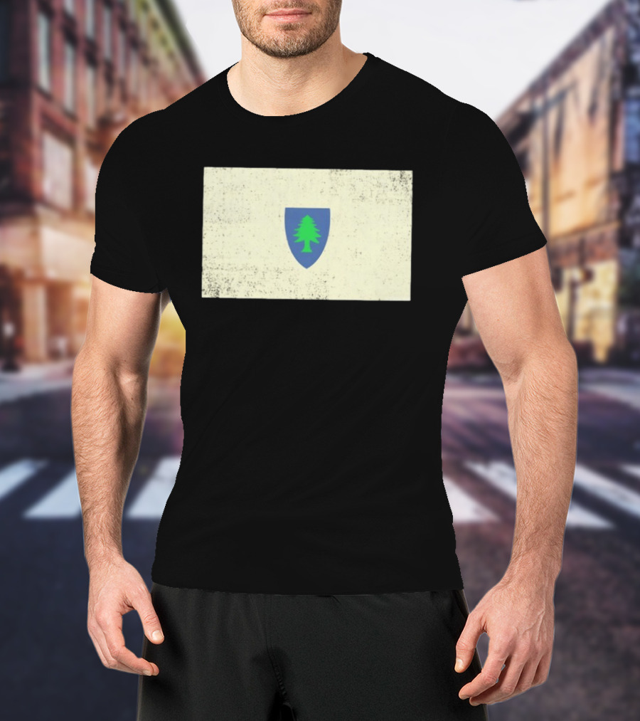 Massachusetts Flag Pine Tree Symbol On Vintage Shield T-Shirt
