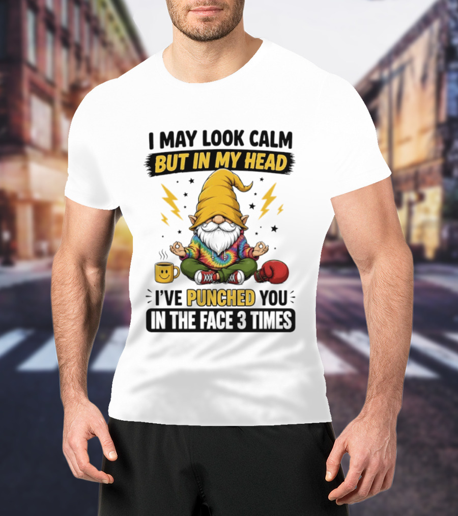 Gnome I May Look Calm But In My Head I've Punched You In The Face 3 Times T-Shirt