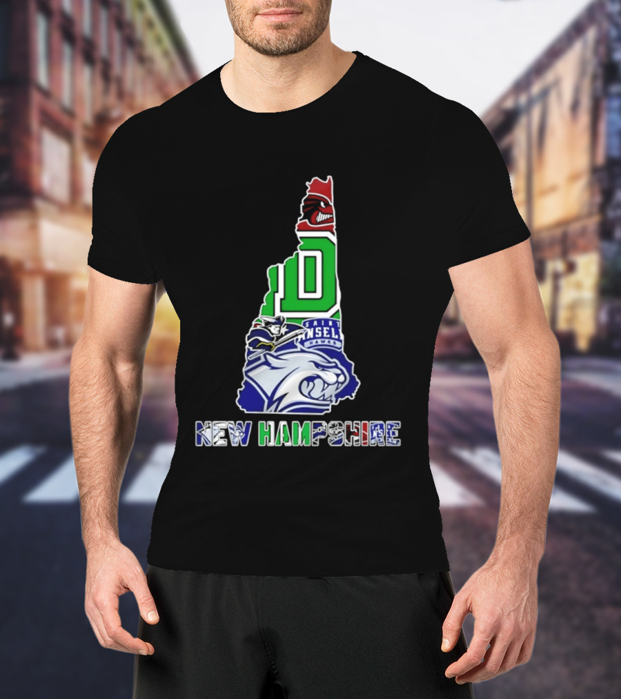 New Hampshire State Map Saint Anselm Hawks Wildcats Dartmouth Big Green 2026 T-Shirt