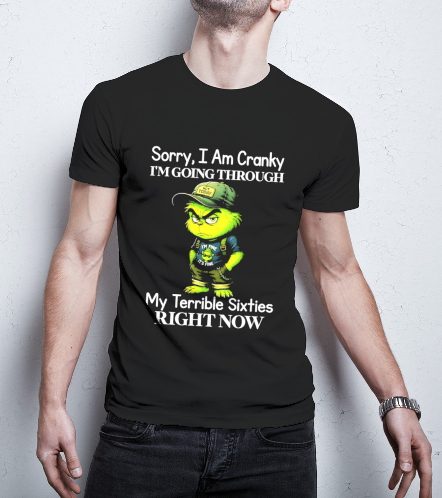 Sorry I Am Cranky I'm Going Through My Terrible Sixties Right Now T-Shirt