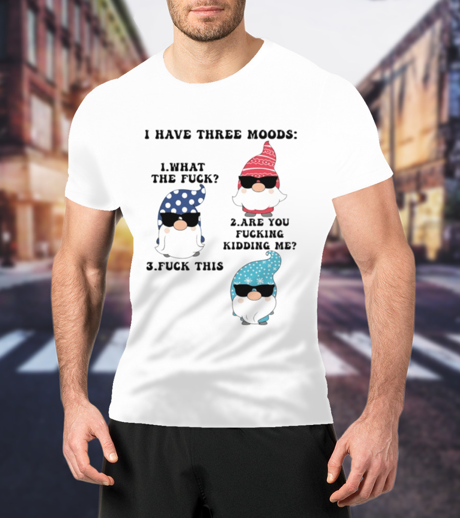I Have Three Moods What The Fuck Are You Fucking Kidding Me Fuck This Gnome T-Shirt