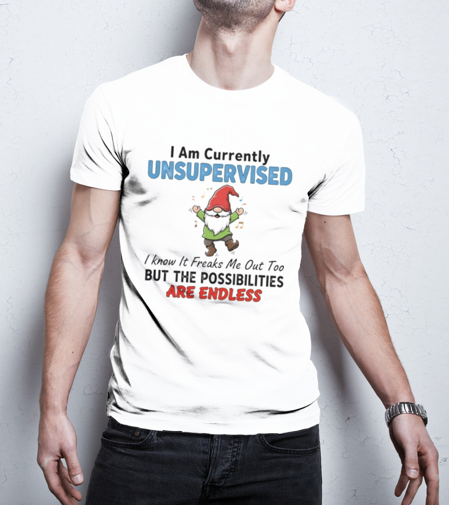 Unsupervised Gnome Christmas Possibilities Endless Fun T-Shirt