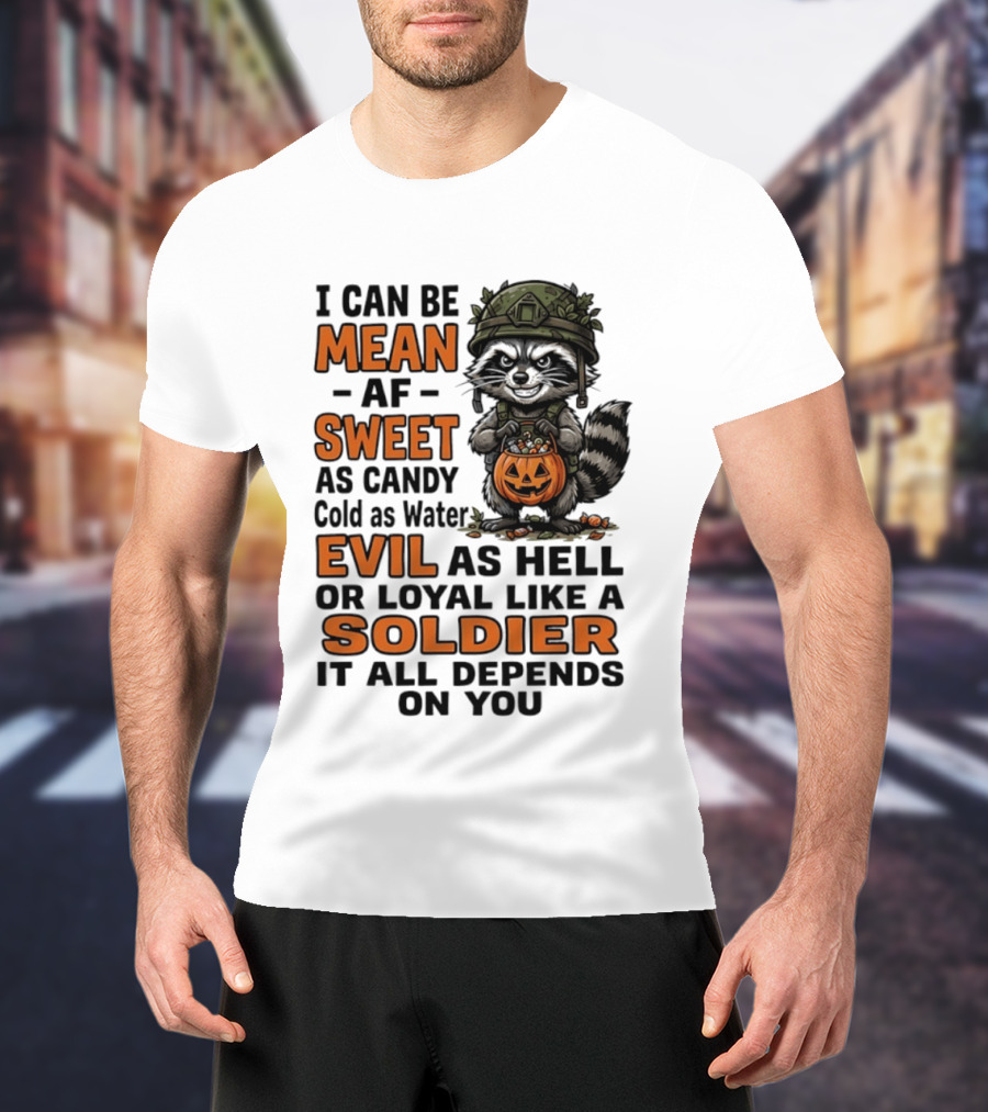 Raccoon I Can Be Mean AF Sweet As Candy Cold As Water Evil As Hell Or Loyal Like A Soldier It All Depends On You T-Shirt