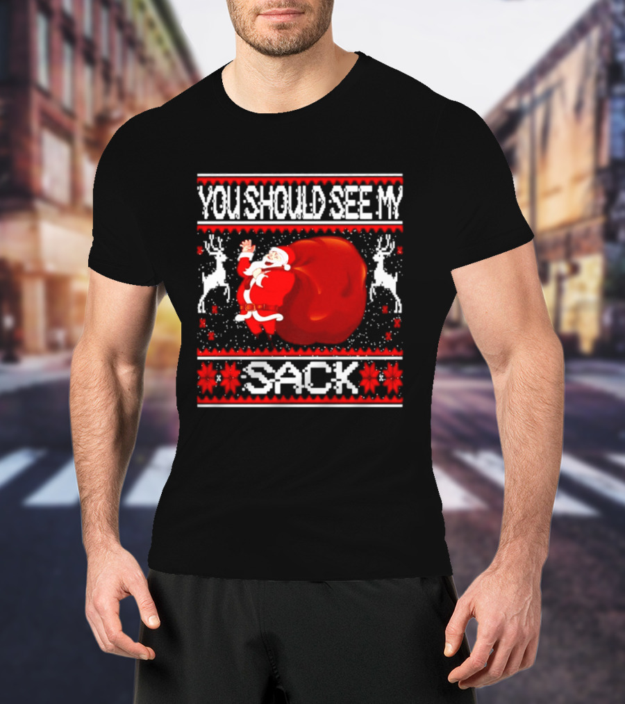 You Should See My Sack Santa Claus Ugly Christmas Reindeer Snowflakes T-Shirt