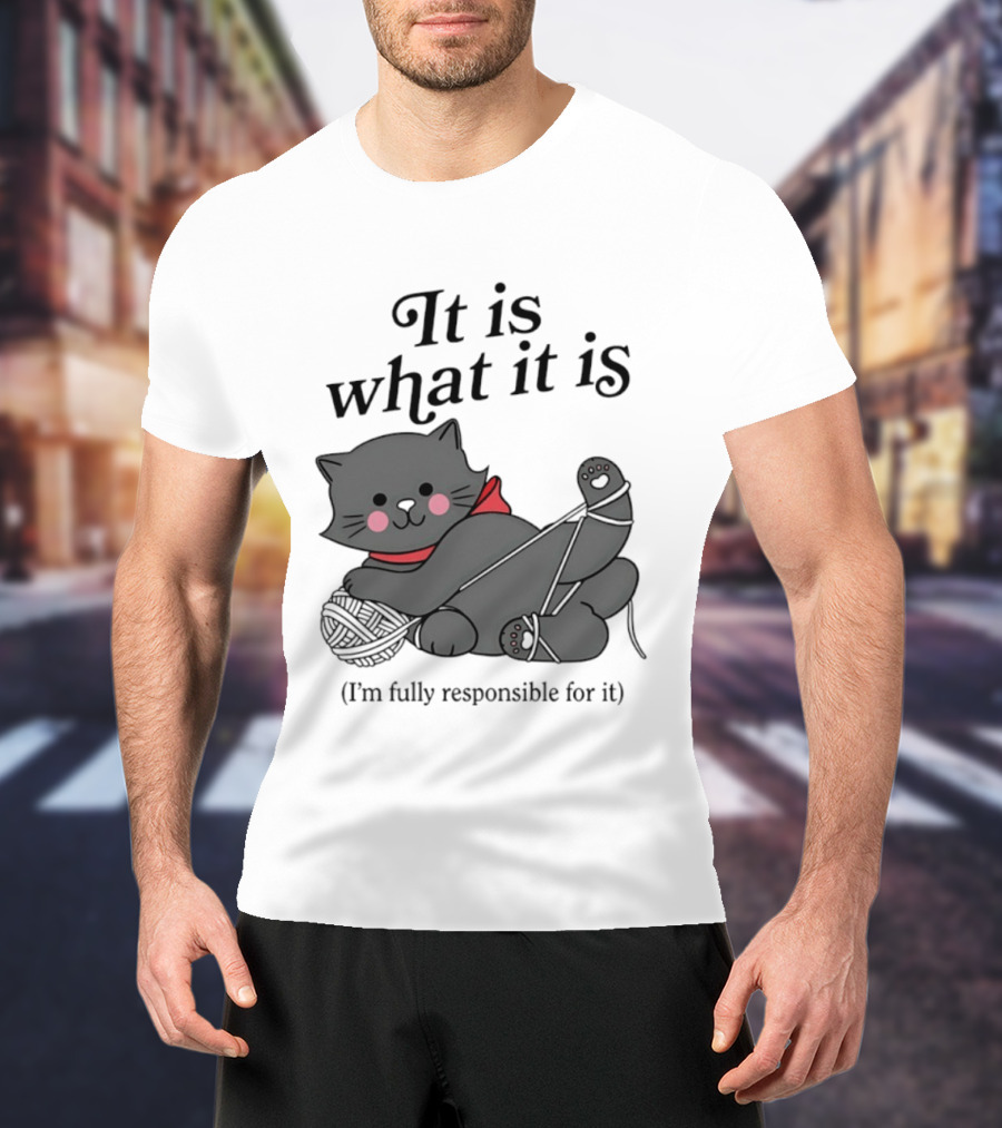 It Is What It Is Playful Cat With Yarn I'm Fully Responsible For It T-Shirt