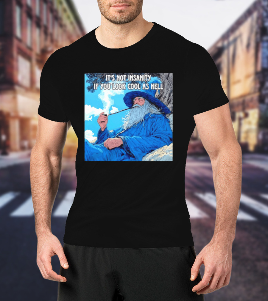 It's Not Insanity If You Look Cool As Hell Wizard Smoking Pipe T-Shirt