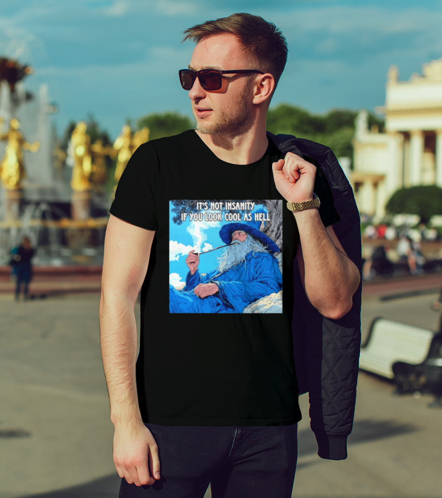 It's Not Insanity If You Look Cool As Hell Wizard Smoking Pipe T-Shirt