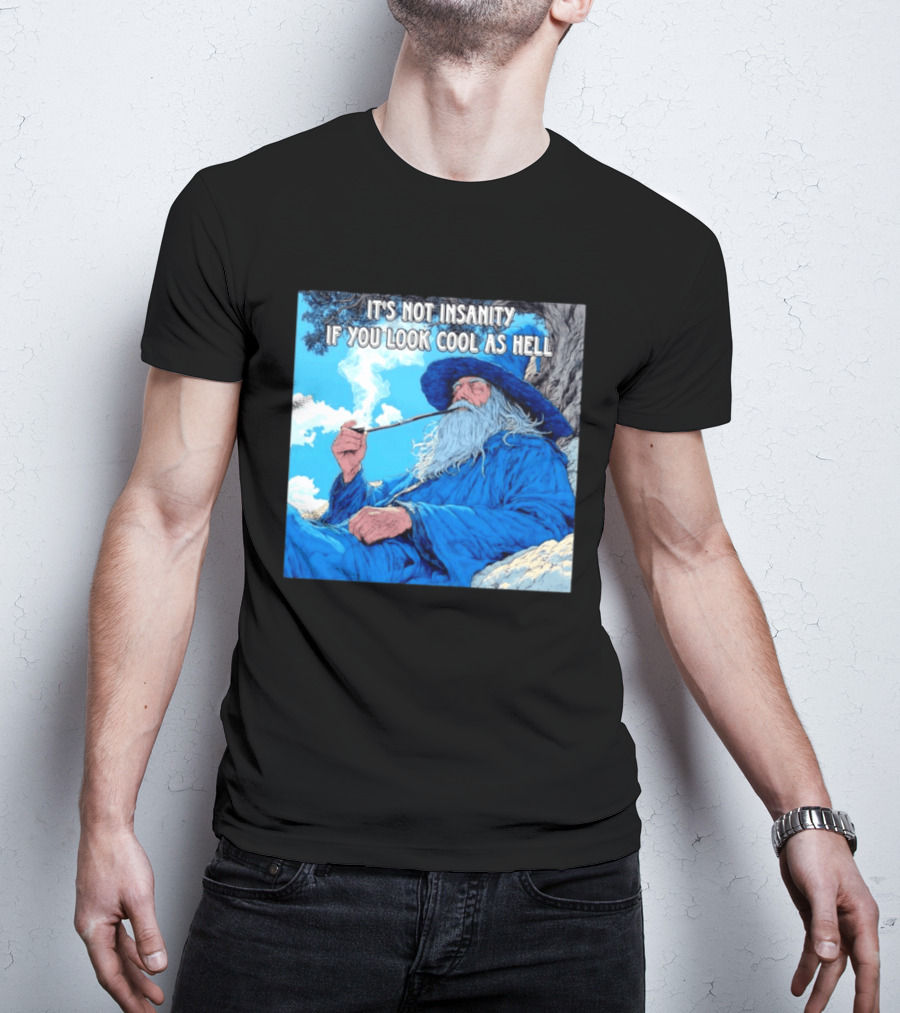 It's Not Insanity If You Look Cool As Hell Wizard Smoking Pipe T-Shirt