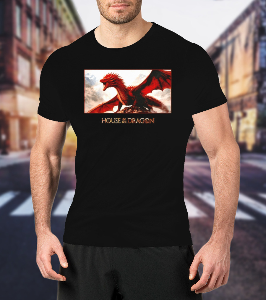 House Of The Dragon Caraxes War Memorial Mountains Scene T-Shirt