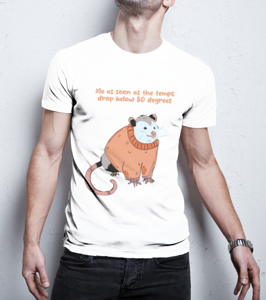 Opossum Cozy Sweater Temps Below 80 Degrees T-Shirt