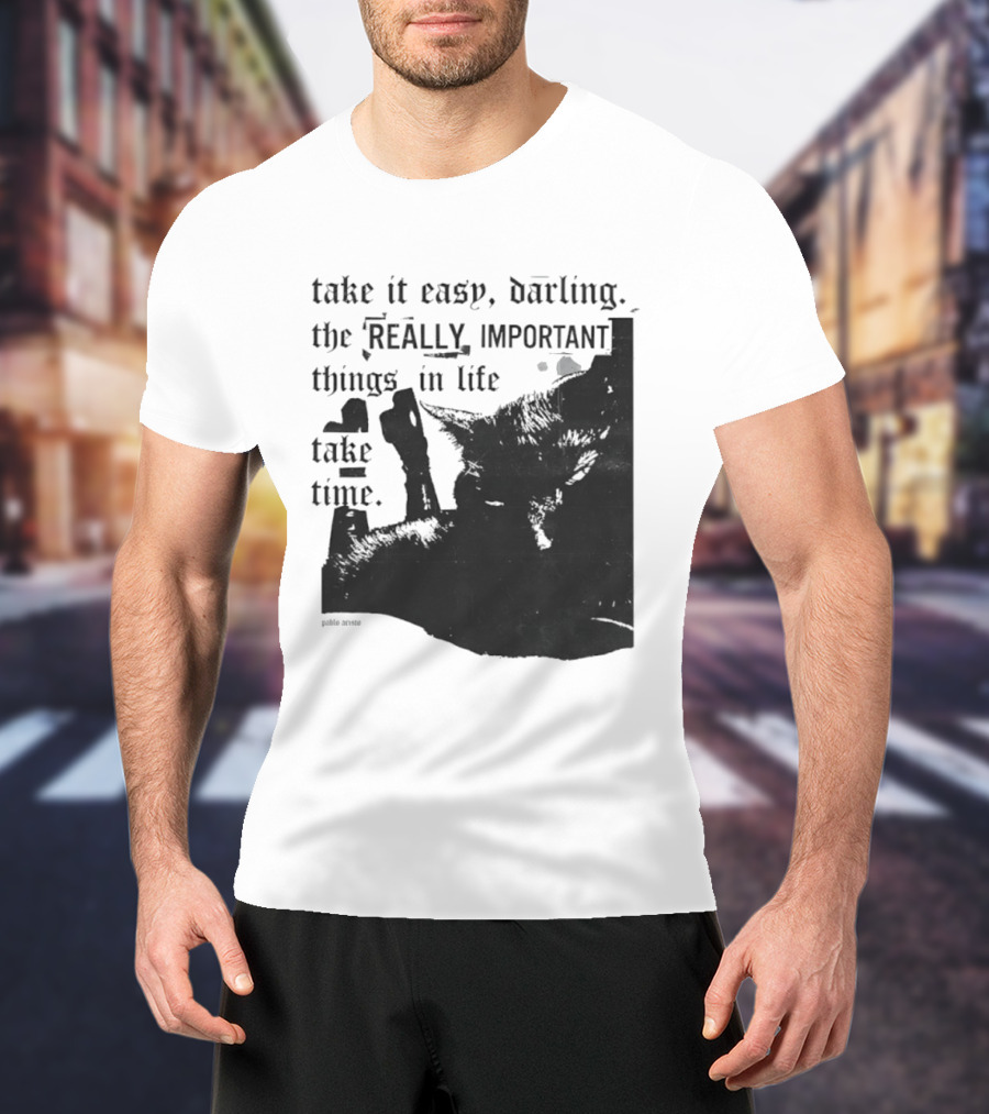 Take It Easy Darling The Really Important Things In Life Take Time T-Shirt