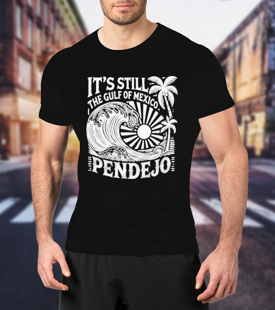 It's Still The Gulf Of Mexico Pendejo Wave Palm Sun T-Shirt