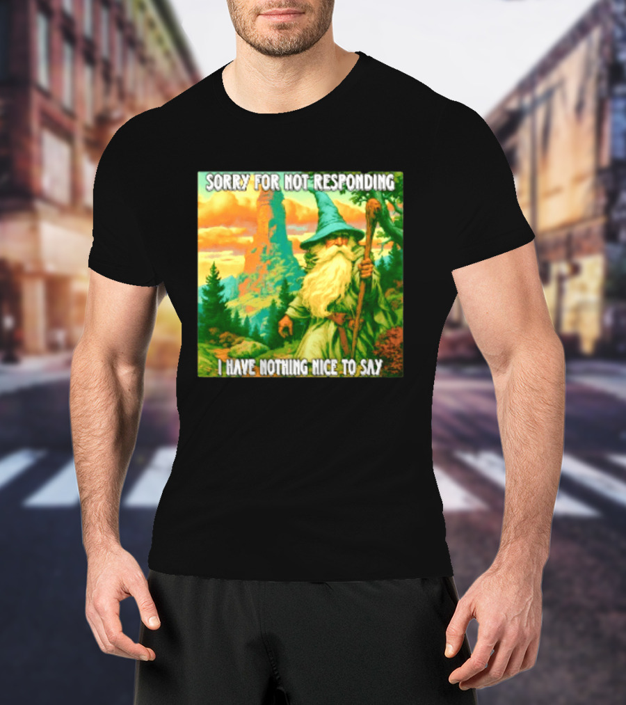 Sorry For Not Responding I Have Nothing Nice To Say Wizard Scene T-Shirt