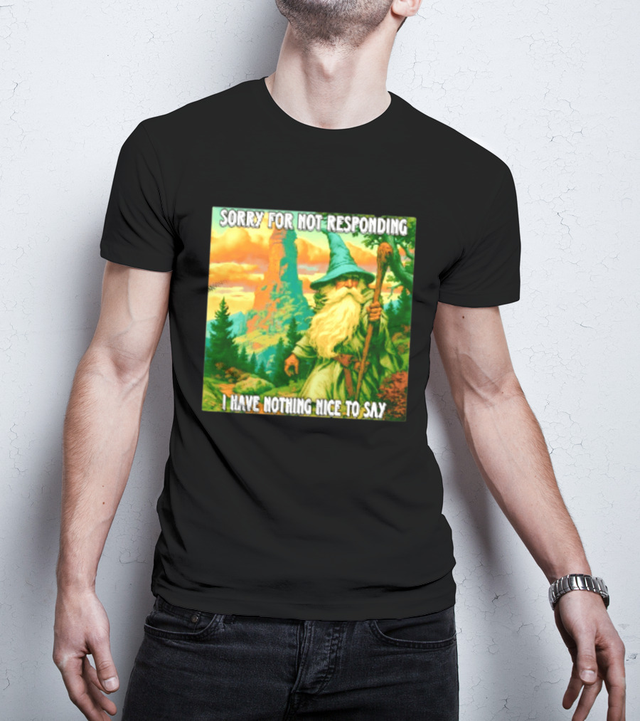 Sorry For Not Responding I Have Nothing Nice To Say Wizard Scene T-Shirt