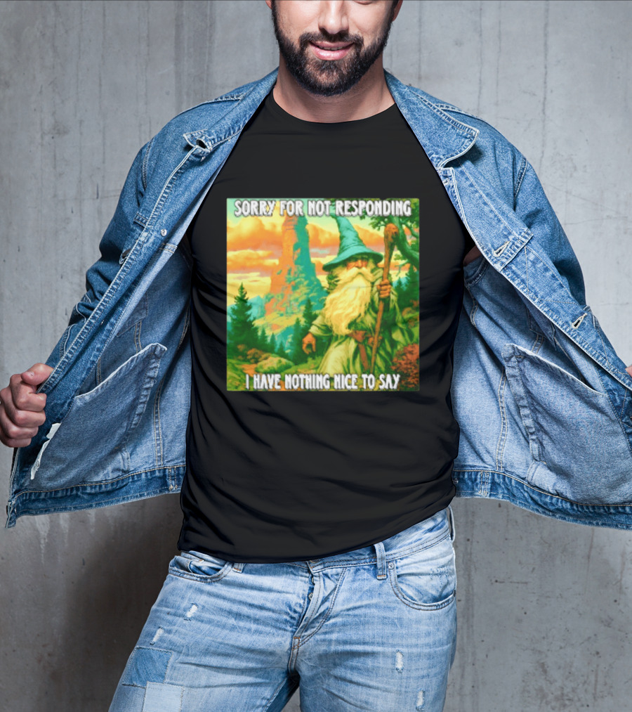 Sorry For Not Responding I Have Nothing Nice To Say Wizard Scene T-Shirt