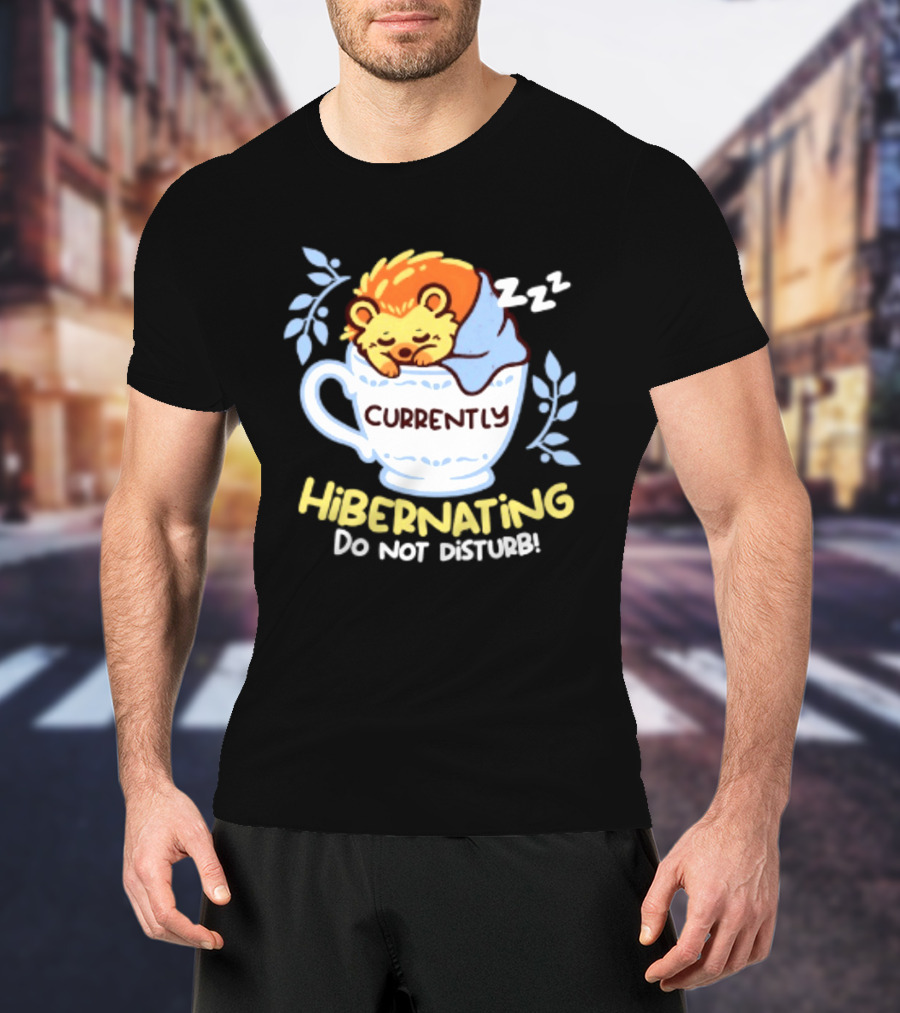 Currently Hibernating Do Not Disturb Hedgehog In Teacup Python T-Shirt