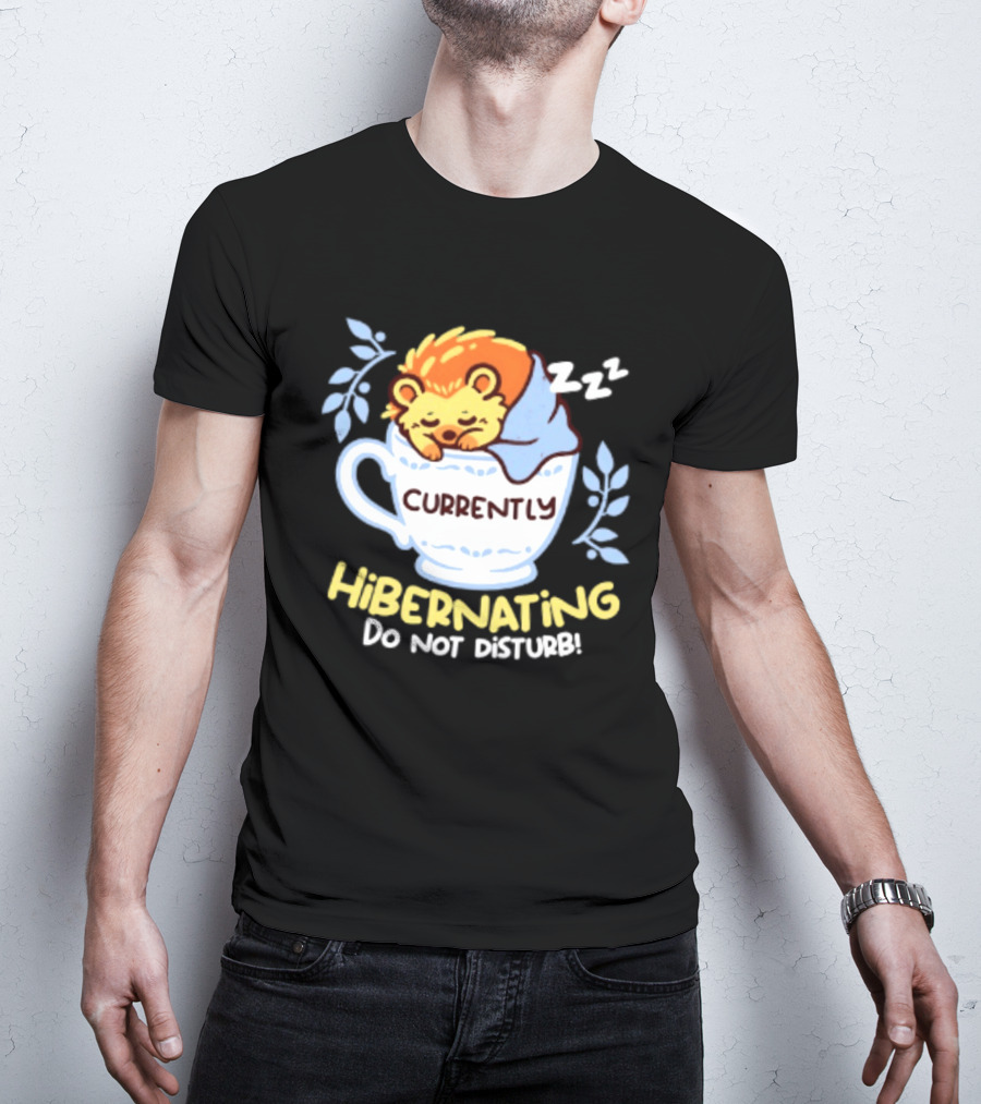 Currently Hibernating Do Not Disturb Hedgehog In Teacup Python T-Shirt