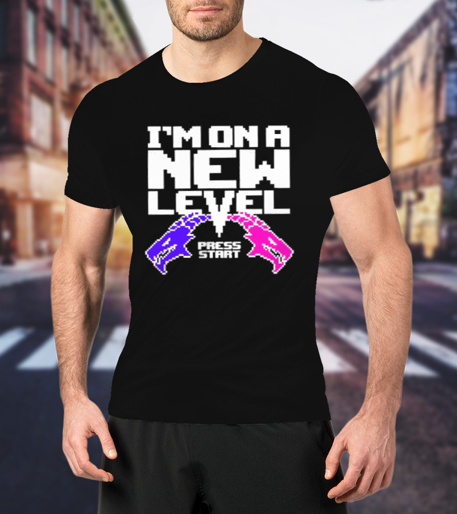 I'm On A New Level Dragons Fight Stuff T-Shirt