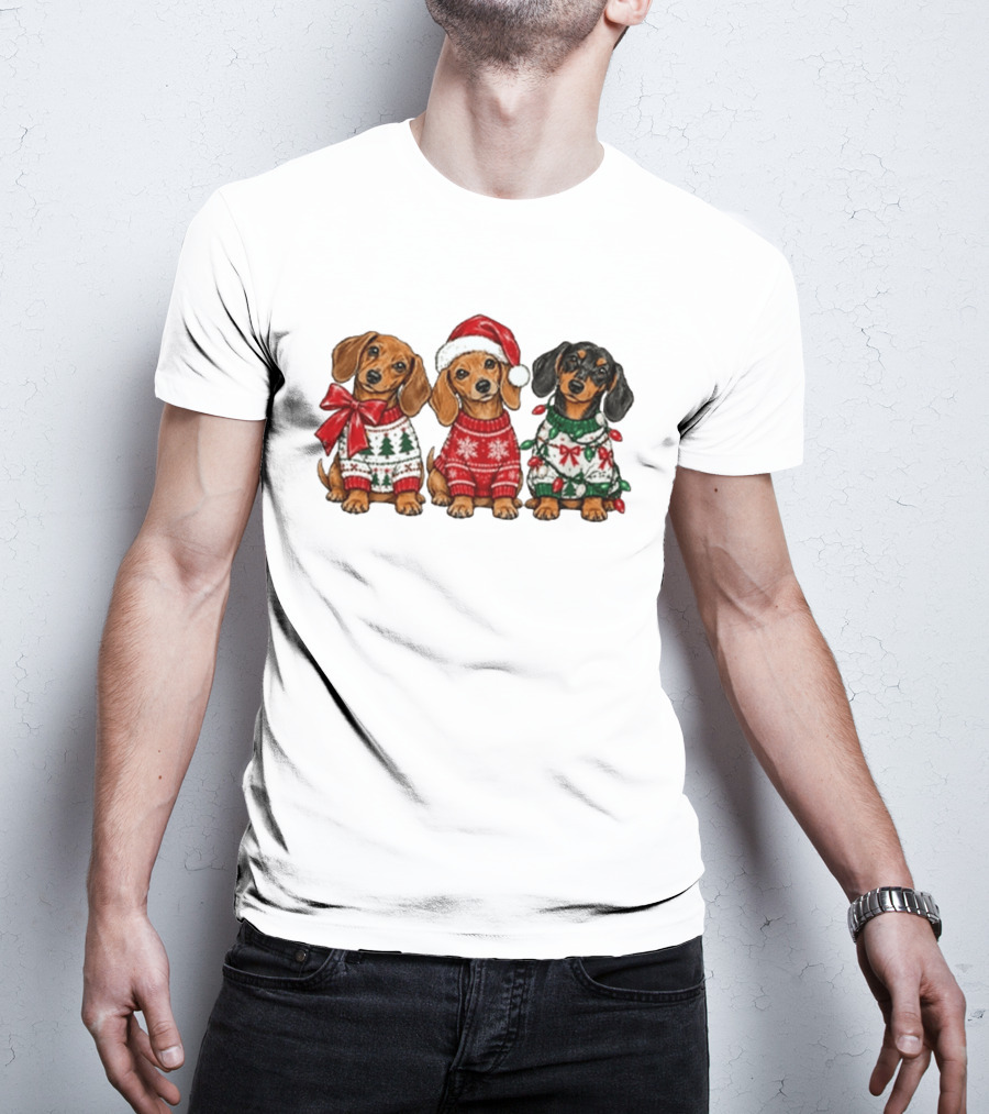 Cozy Christmas Dachshund Trio In Festive Sweaters With Santa Hat T-Shirt