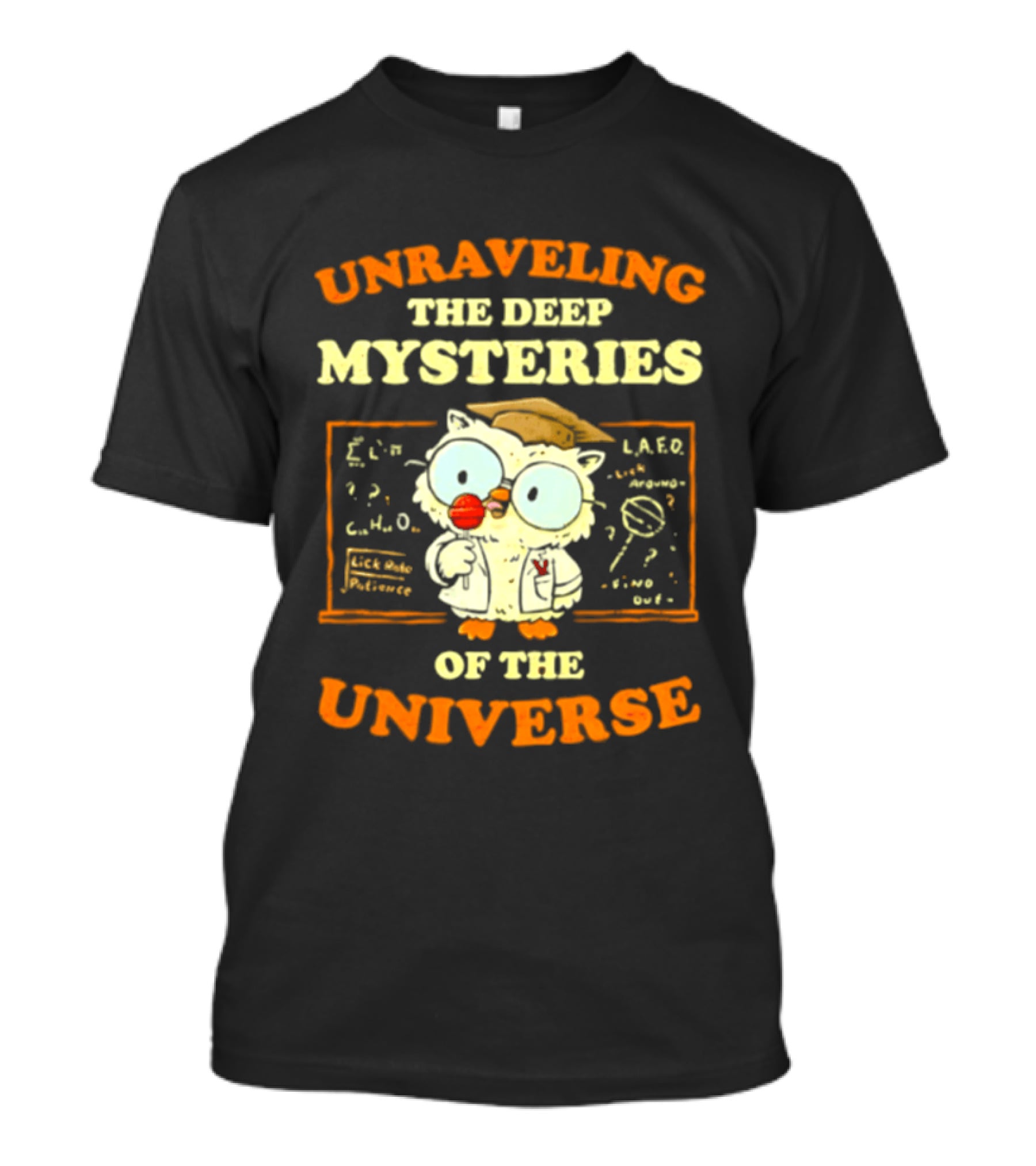 Unraveling The Deep Mysteries Of The Universe Owl With Chalkboard And Equations T-Shirt