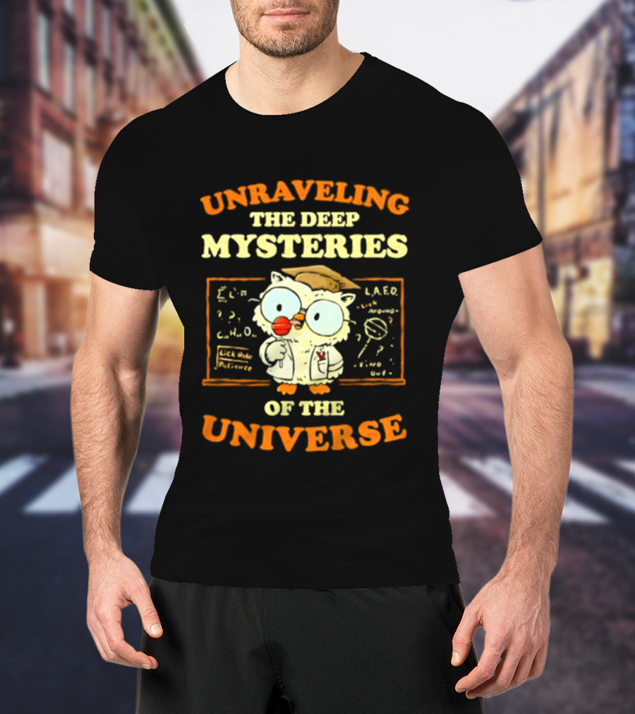 Unraveling The Deep Mysteries Of The Universe Owl With Chalkboard And Equations T-Shirt