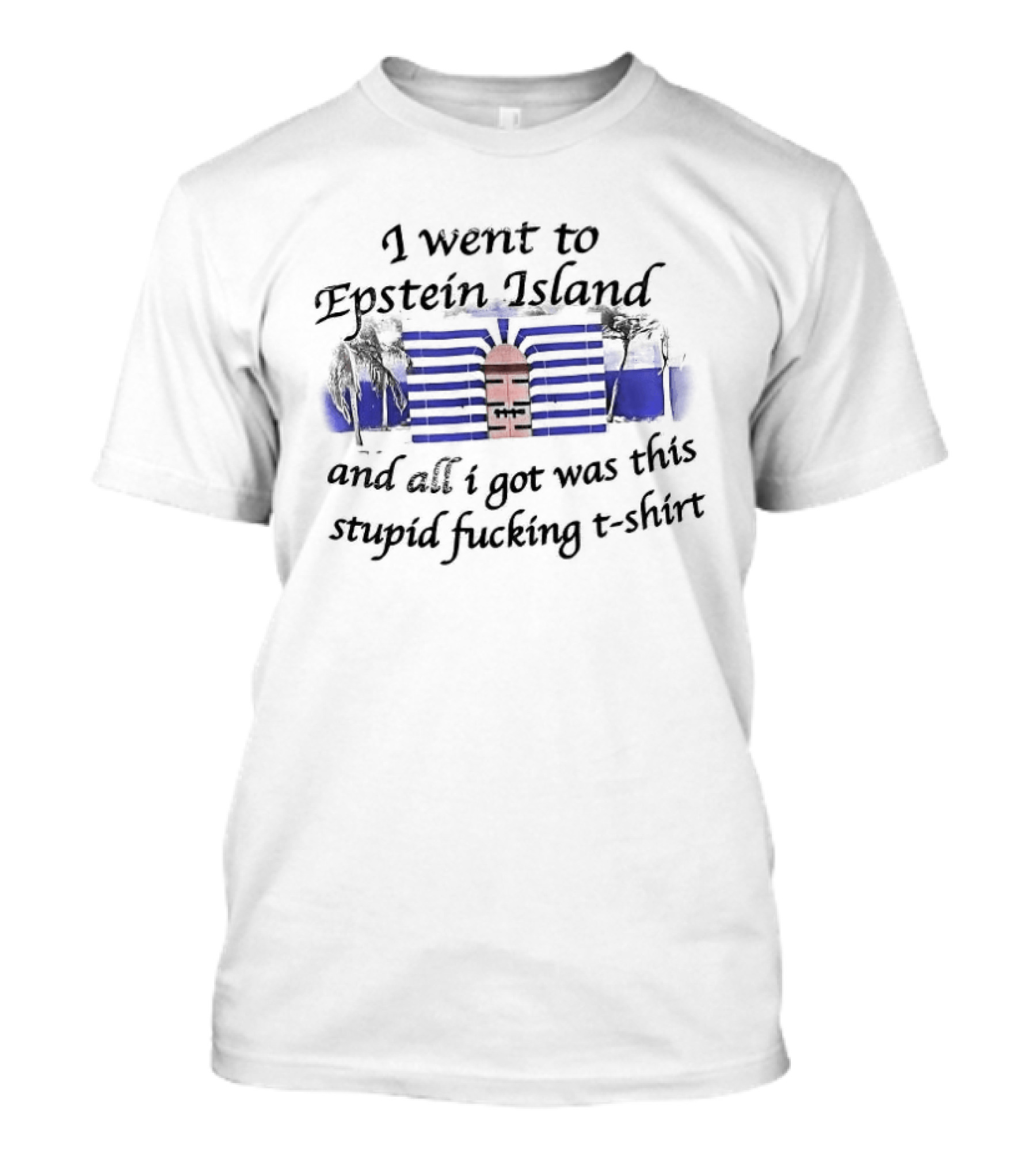 I Went To Epstein Island And All I Got Was This Stupid Fucking T T-Shirt