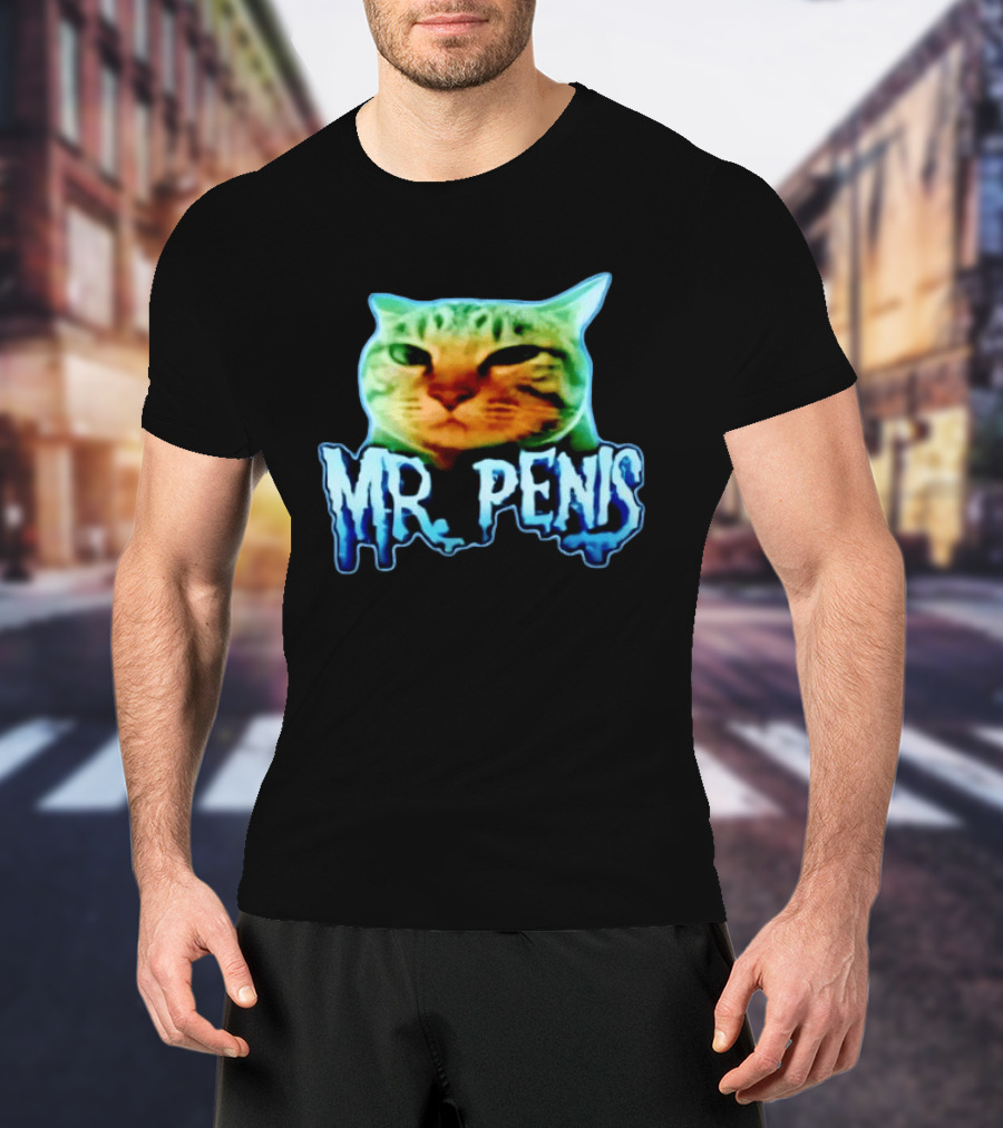 Mr Penis Cat Bold Neon Feline Face T-Shirt