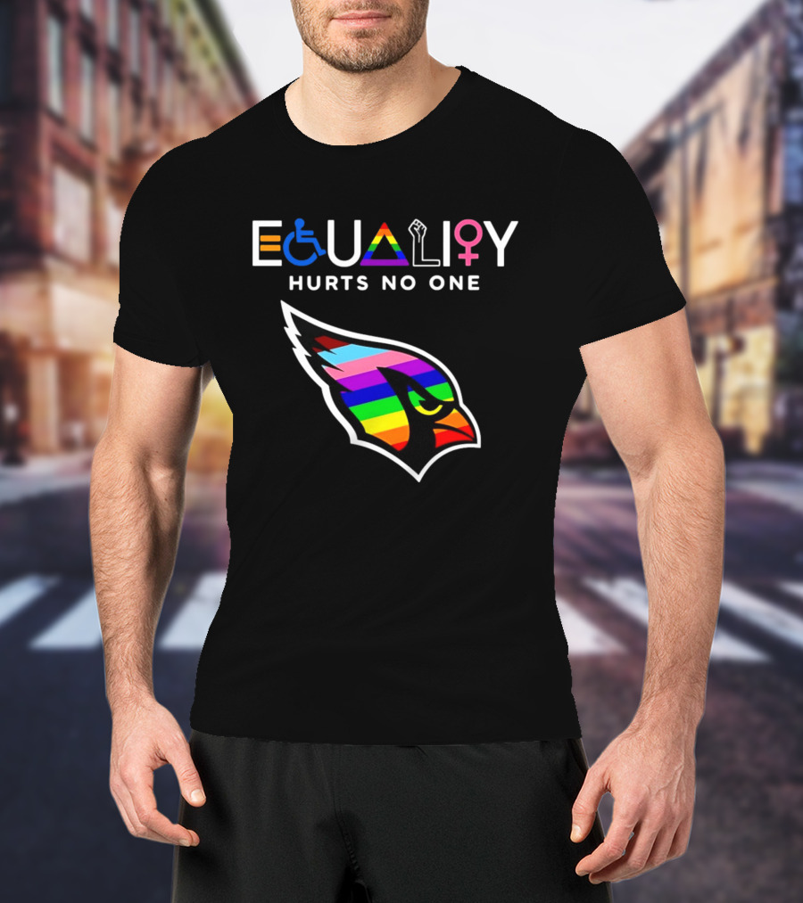 Arizona Cardinals Pride Equality Hurts No One Inclusive Message T-Shirt