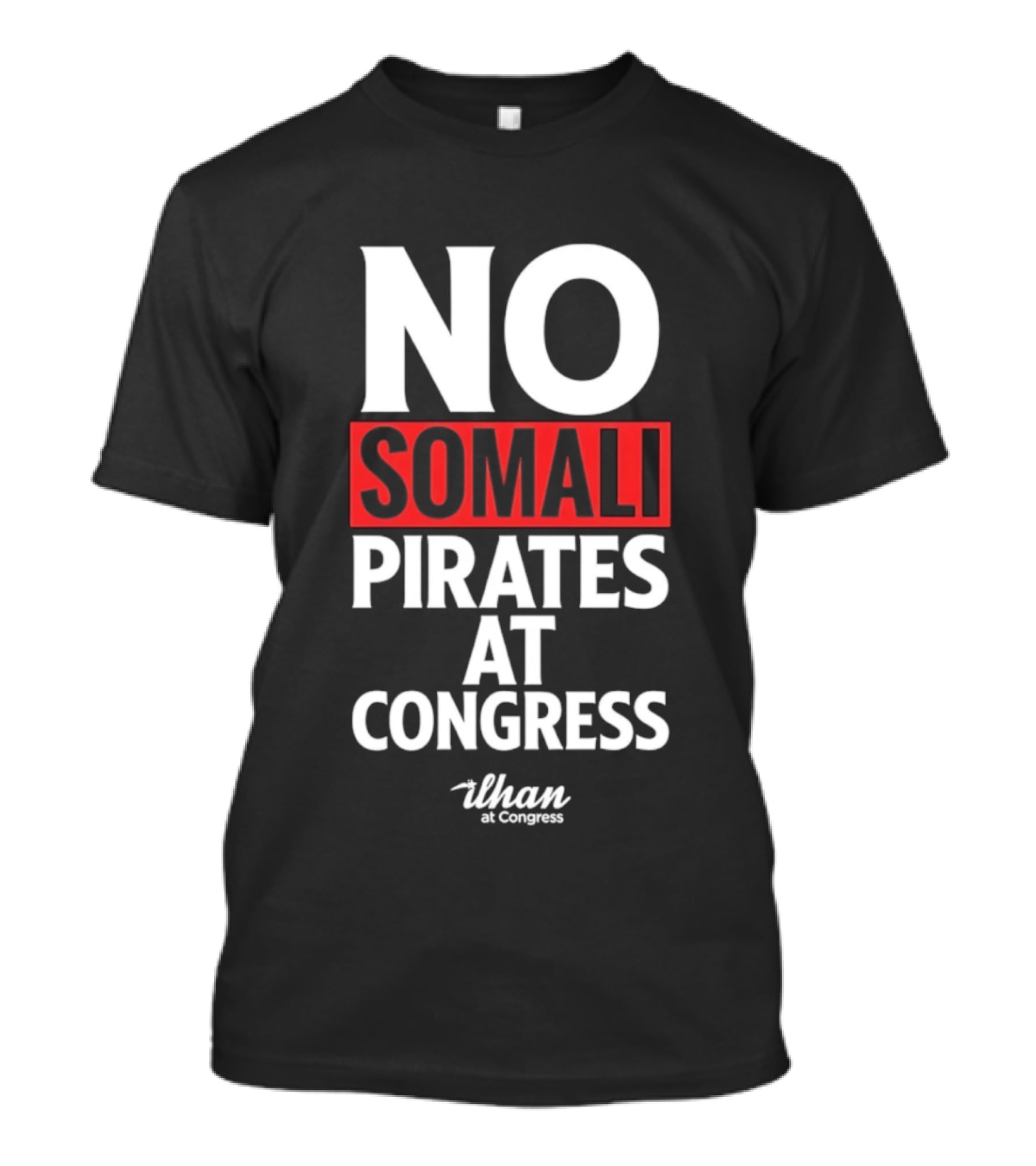 No Somali Pirates At Congress Than At Congress T-Shirt