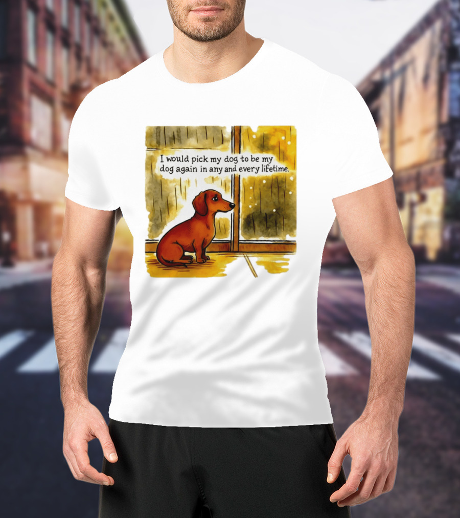 I Would Pick My Dog To Be My Dog Again In Any And Every Lifetime Dachshund By Window T-Shirt