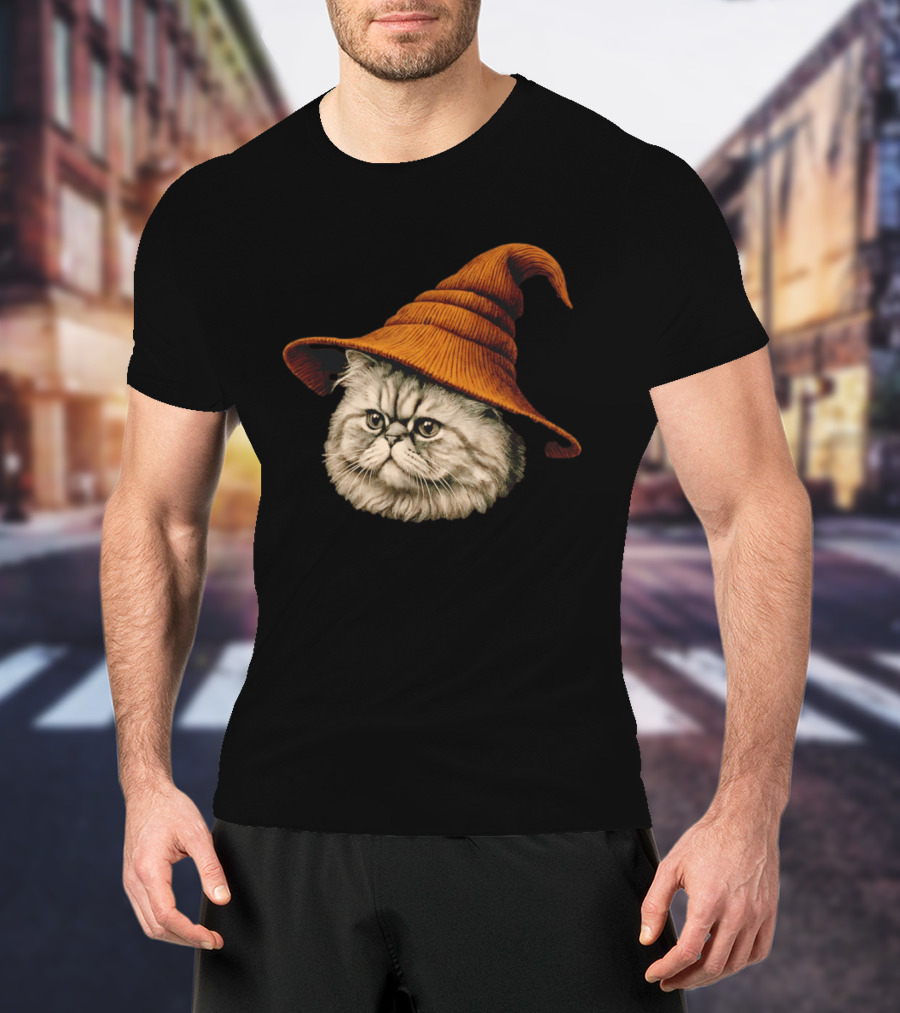 Beanie Cat Wizard Cartoon Plush Orange Hat Feline T-Shirt