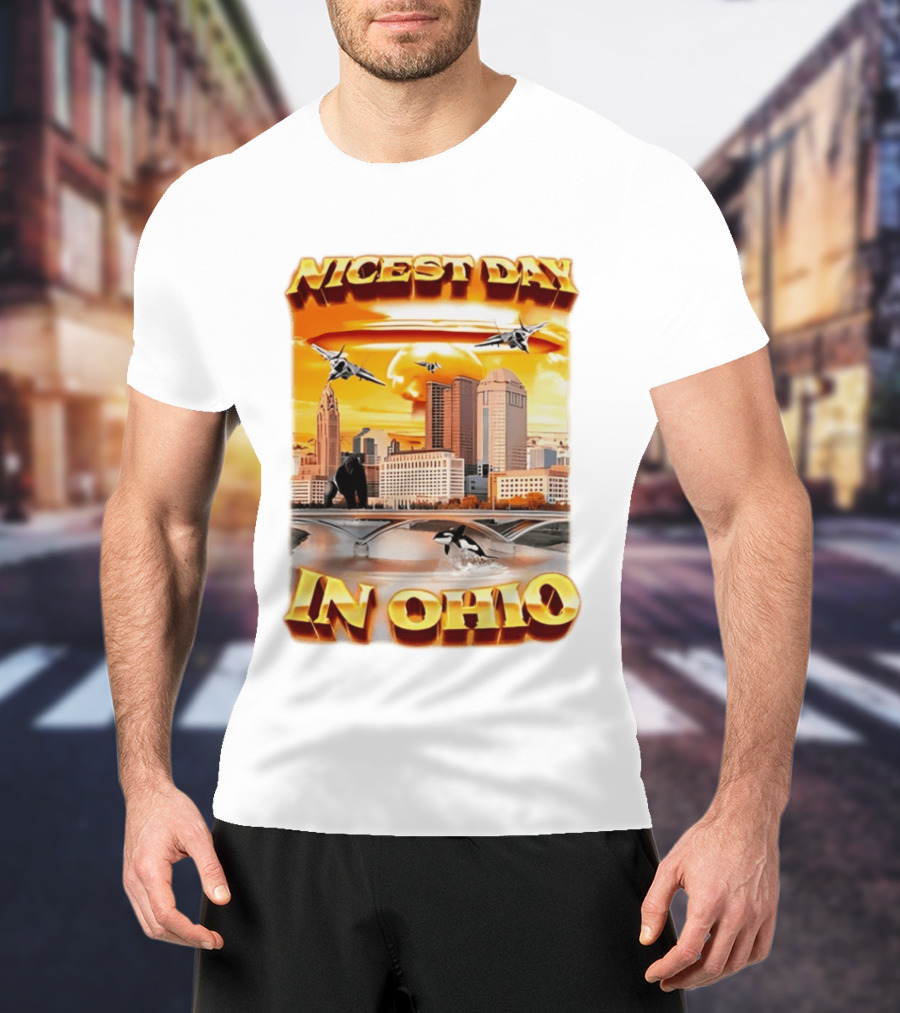 Nicest Day In Ohio Cityscape With Jets And Wildlife T-Shirt