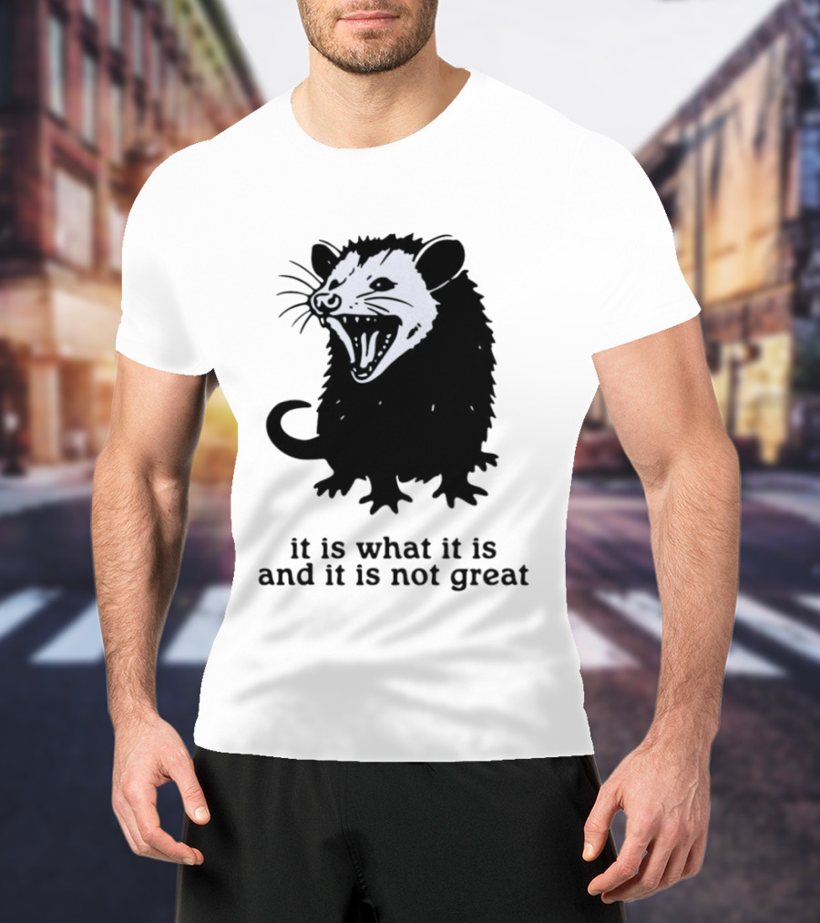 It Is What It Is And It Is Not Great Opossum T-Shirt
