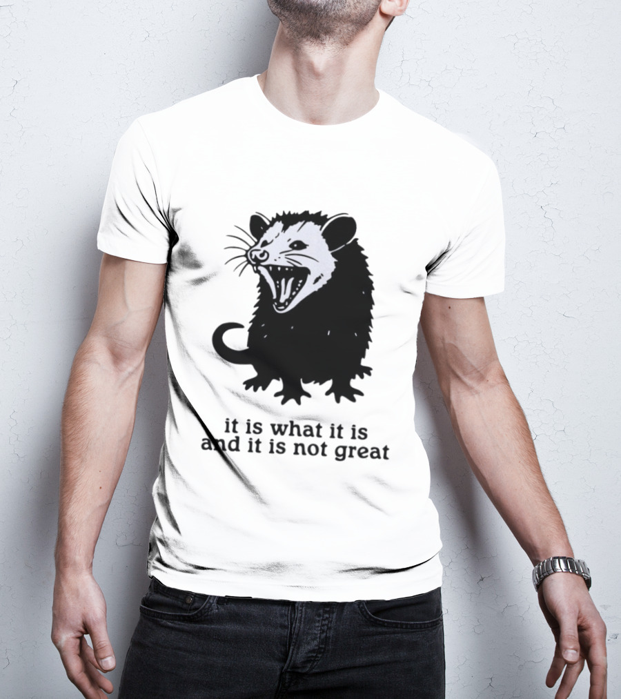 It Is What It Is And It Is Not Great Opossum T-Shirt