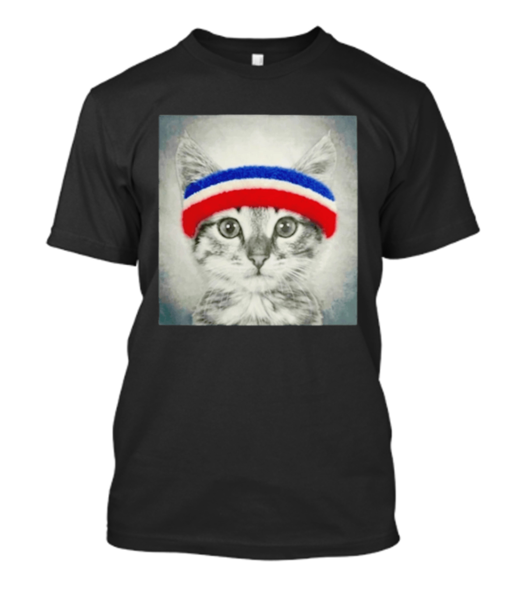 Gaten Matarazzo Pizza Movie Cat With Red Blue Headband T-Shirt