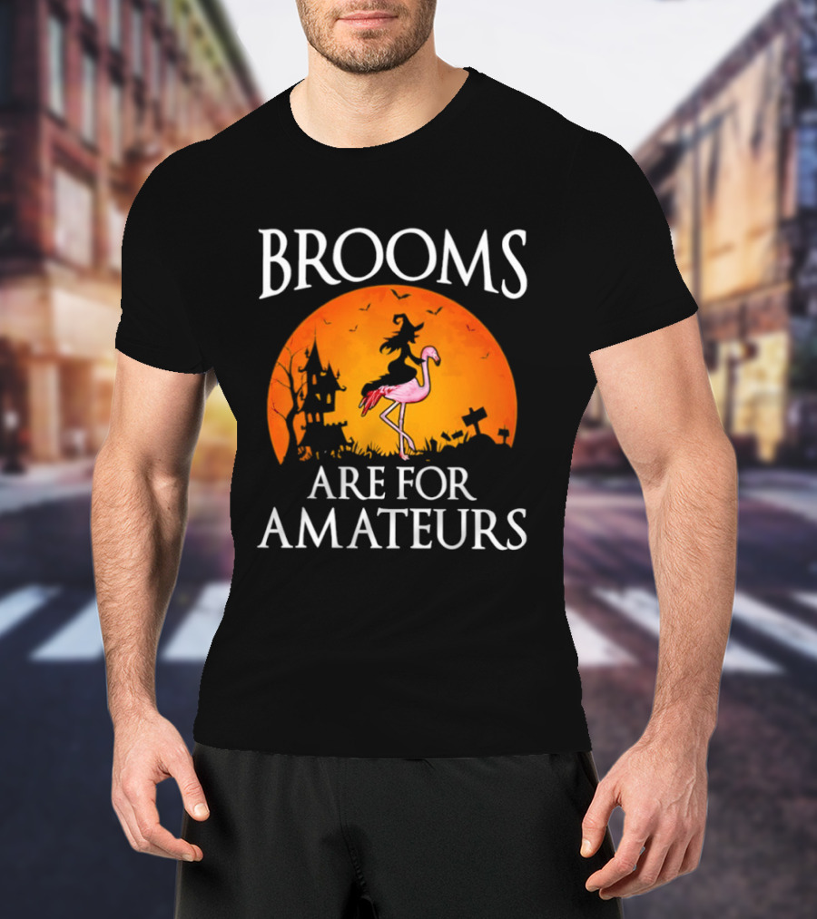 Brooms Are For Amateurs Flamingo Witch Halloween T-Shirt