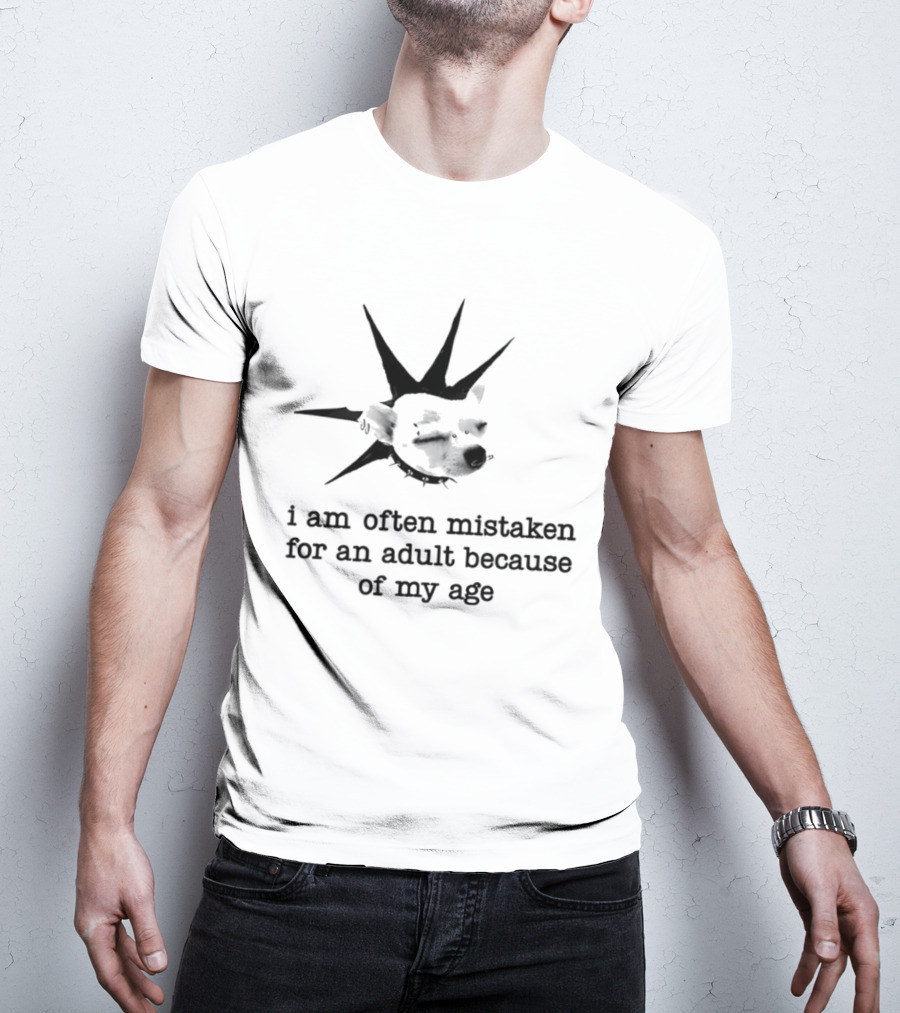I Am Often Mistaken For An Adult Because Of My Age Statue Liberty T-Shirt