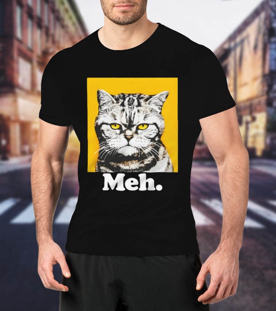 Meh Angry Cat With Yellow Eyes T-Shirt