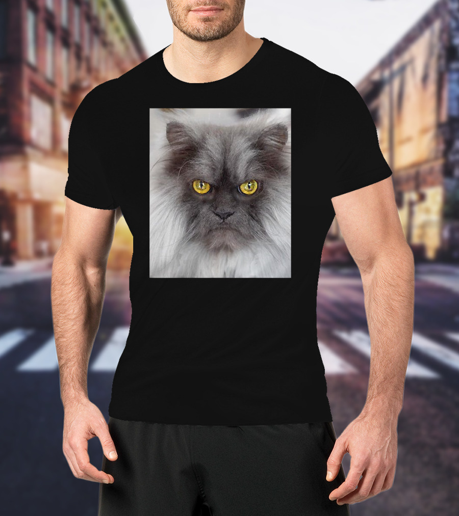 Jun The Angry Cat Golden Eyes Grumpy Expression T-Shirt