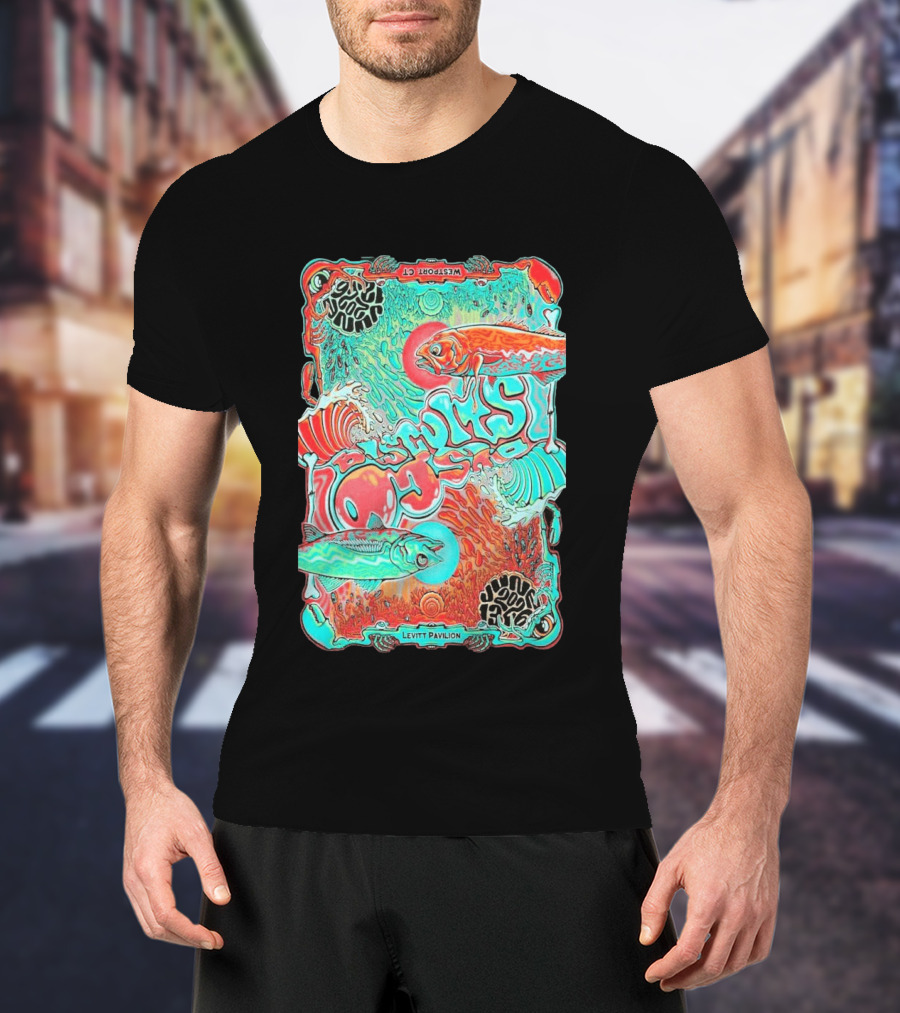 The Disco Biscuits Westport CT June 13 2026 Levitt Pavilion T-Shirt