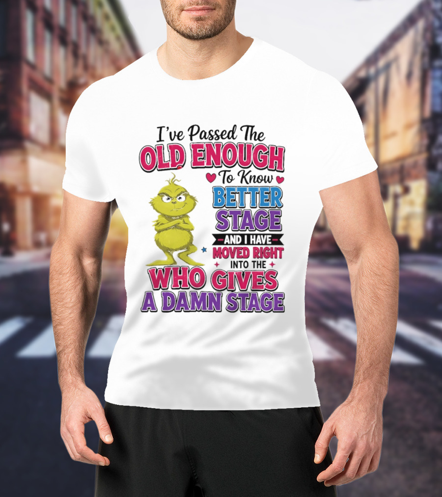 Passed The Old Enough To Know Better Moved Right Into The Who Gives A Damn Stage T-Shirt