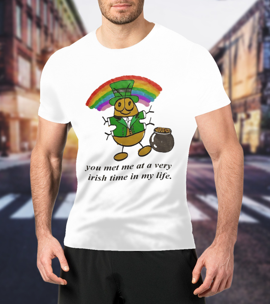 You Met Me At A Very Irish Time In My Life Rainbow Leprechaun Pot Of Gold T-Shirt