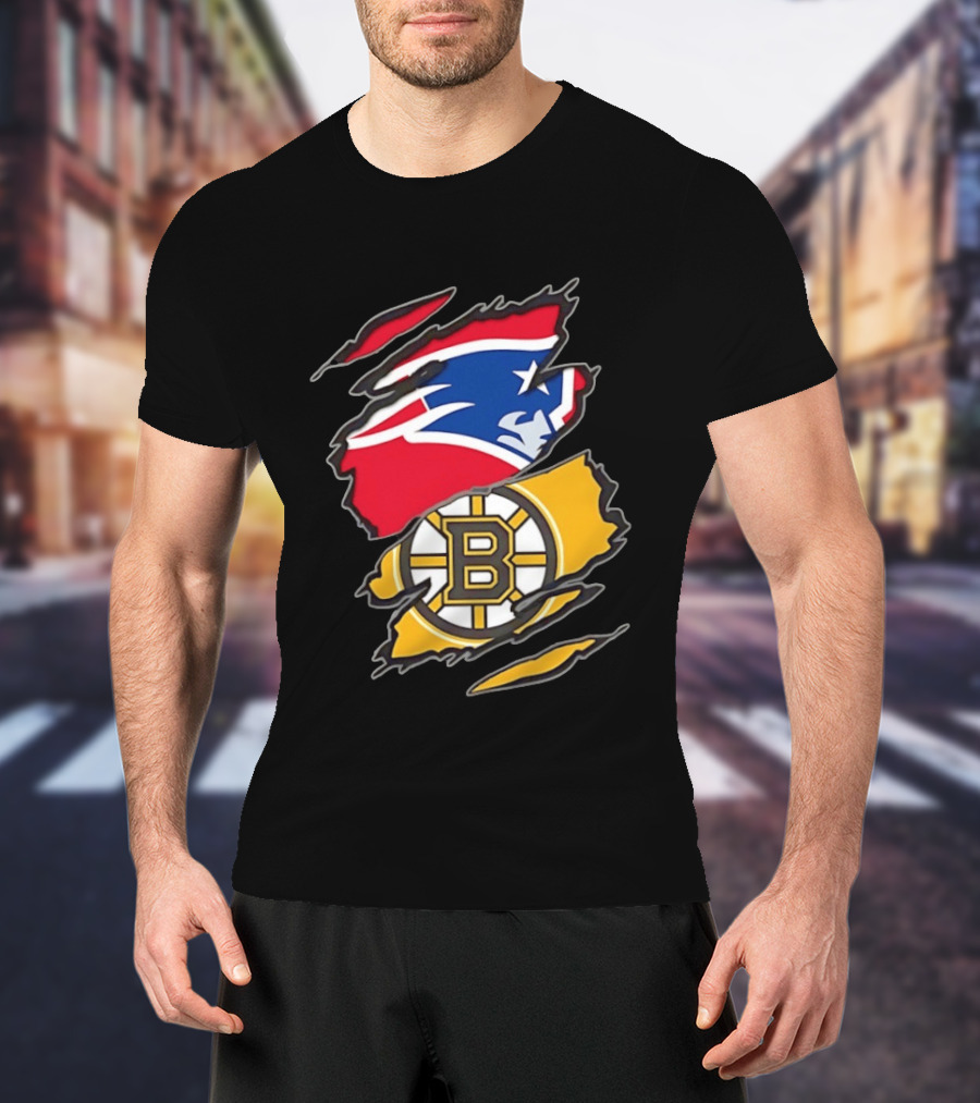 New England Patriots Boston Bruins Two Teams One Heart Scratch NFL NHL Fan T-Shirt
