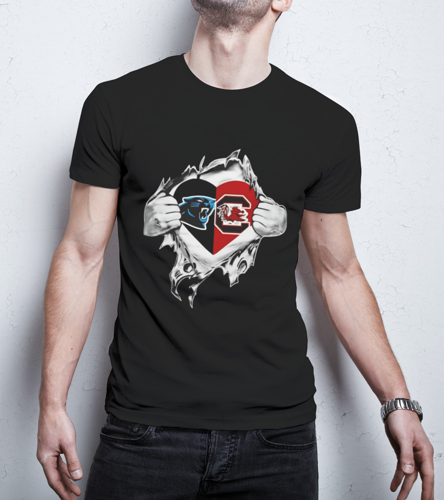 Carolina Panthers South Carolina Gamecocks Heart T-Shirt