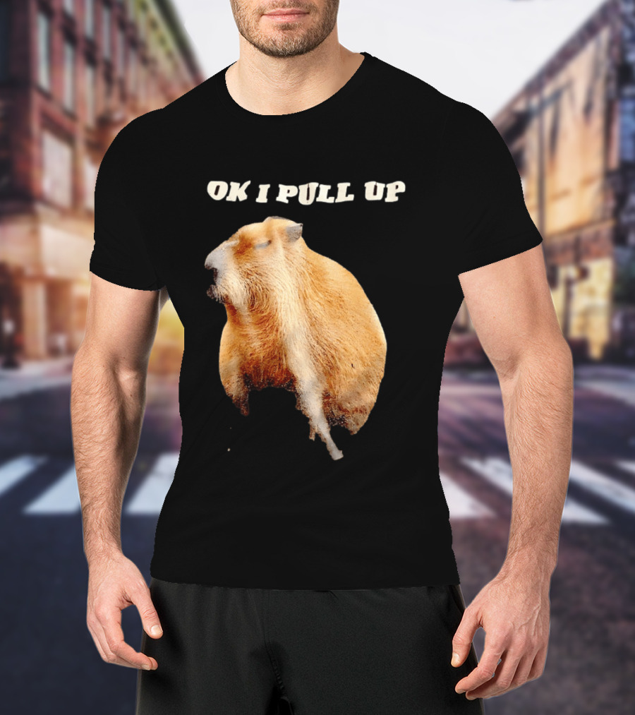 Ok I Pull Up Capybara Meme T-Shirt