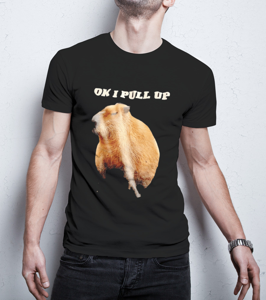 Ok I Pull Up Capybara Meme T-Shirt