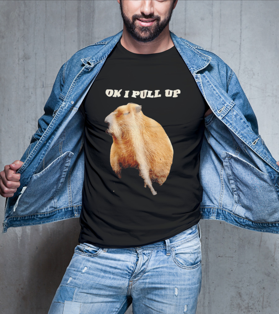 Ok I Pull Up Capybara Meme T-Shirt